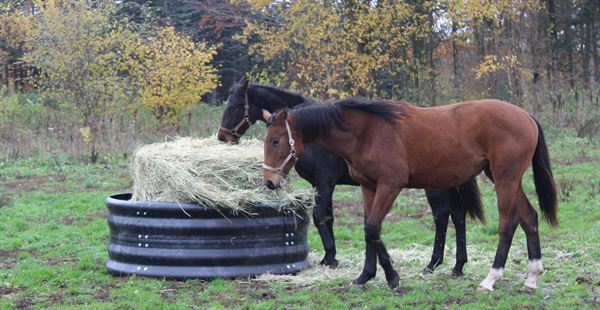 Foderring af plast 